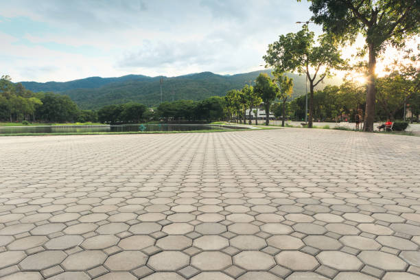 Best Best Driveway Pavers  in Enterprise, NV